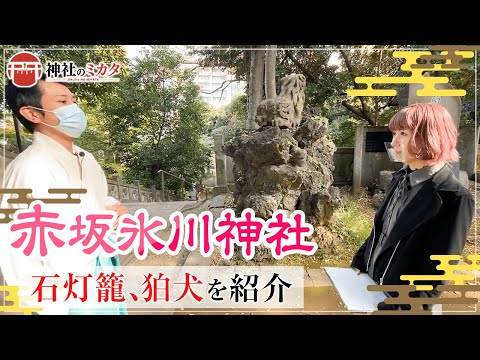 【神社巡り】歴史あるたくさんの狛犬と石灯籠、奇跡的に残存していた赤坂氷川山車・大銀杏の木を紹介！【赤坂氷川神社#2】