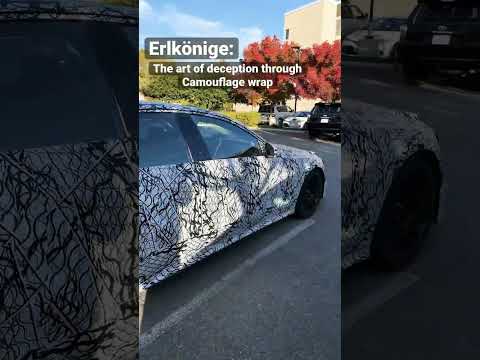 Elkönige - The art of camouflaging prototype or mule development cars.