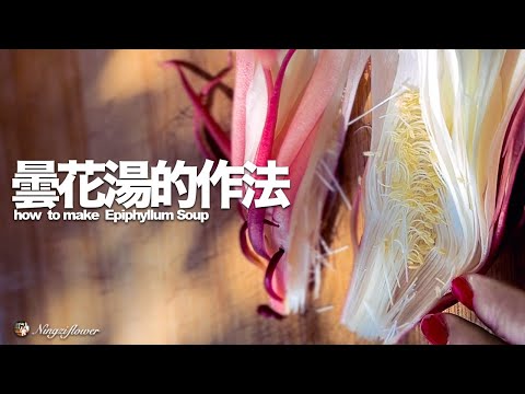 曇花湯的作法｜how to make  Epiphyllum Soup