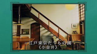 【真夜中ドラマ「名建築で昼食を」】名建築FILE　NO.10　江戸東京たてもの園（EDO-TOKYO OPEN AIR ARCHITECTURAL MUSEUM）