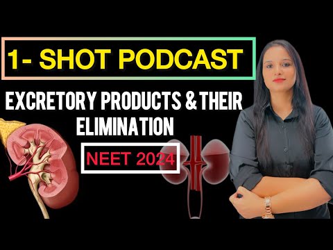 Excretory Products & Elimination FAST One SHOT!🔥 | Class 11Biology | Quick Revision Podcast #neet