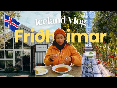 Iceland Fridheimar Tomato Farm Tour | What to do in Iceland | Day 1