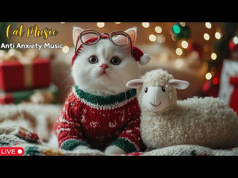 Christmas Piano Music for Cats: Calm Anxiety, Sleep Better & Enjoy the Holiday Peacefully 😺🎄