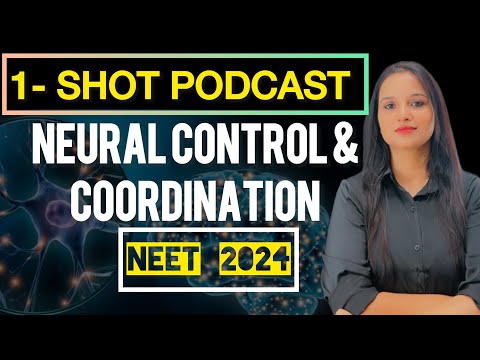 Neural Control and Coordination Class 11 One Shot | Quick Revision Podcast #neetbiology #neet2024