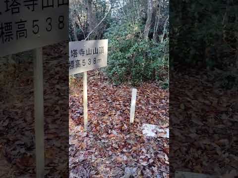 【山頂シリーズ】八塔寺山山頂