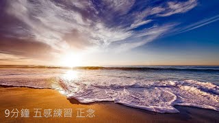 Mindfulness 《9分鐘 五感練習 正念》 | 廣東話 | 察覺力 | 感應力丨適合等車坐車時做 | 冥想 | 平靜 | 每天練習 | 感恩