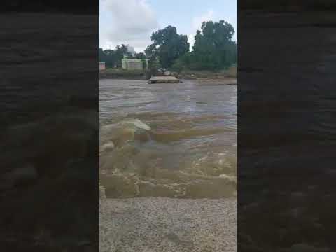 Puthalapattu Bridge Collapsed | Beema River | Heavy Rain Water | Heavy Flood Water| Chittoor