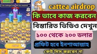 cattea airdrop কি ভাবে কাজ করবেন,,। cattea new airdrop।cattea game airdrop