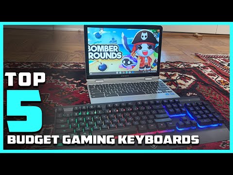 Top 5 Best Budget Gaming Keyboards in 2024 | Detailed Reviews & Buyer's Guide