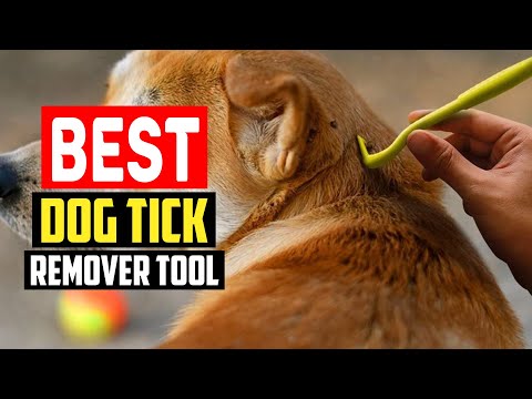 ✅Top 5 Best Dog Tick Remover Tool in 2023