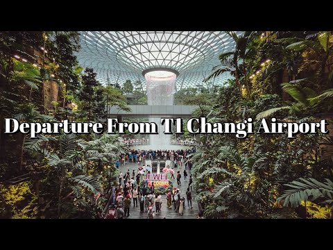 Fly With Scoot From T1 Changi Airport | First Time Visit Jewel Rain Vortex | SG Vlog