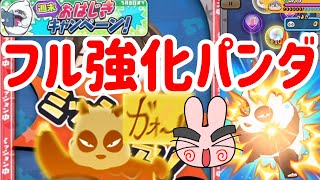 ぷにぷに 『弱いと思ってたパンダ(玄馬)をフル強化したら強すぎたｗｗ』 Yo-kai Watch