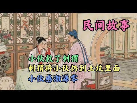 小伙救了刺猬，刺猬将小伙扔到土坑里面，小伙感激涕零