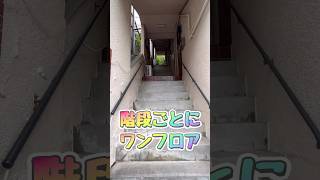 ワンフロア#shorts #賃貸 #不動産