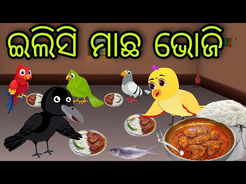 ଇଲିସି ମାଛ ଭୋଜି | Ilishi Machha Bhoji | Tiki Chadhei Gapa | Odia Chadhei Gapa | New Story