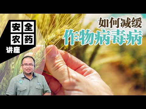 【Baba安全农药讲座】如何减缓作物病毒病？7大有机防治步骤让你的植物远离病毒病 | 病毒病特征、危害症状、有机防治方法、防治注意事项