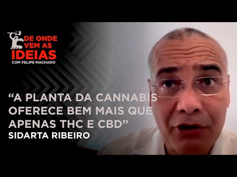 Como o cérebro reage as substâncias? - De Onde Vêm as Ideias | Sidarta Ribeiro [Cortes]