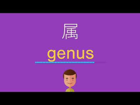 属は英語で何と言う？