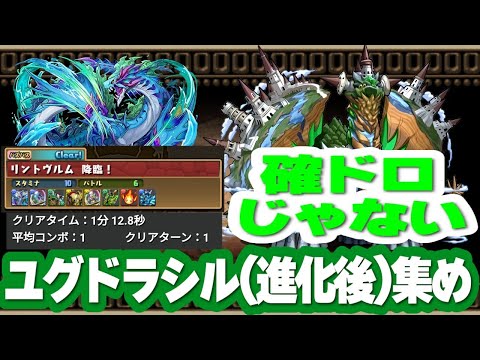 【パズドラ】リントヴルム降臨でユグドラシル(進化後)集め