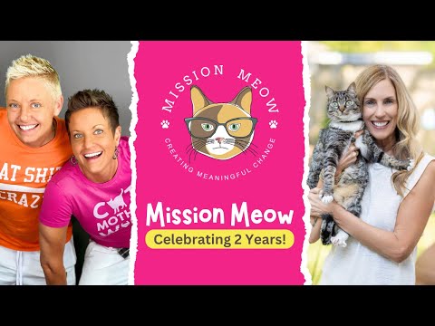 Mission Meow's 2 Year Anniversary Pawty!!!