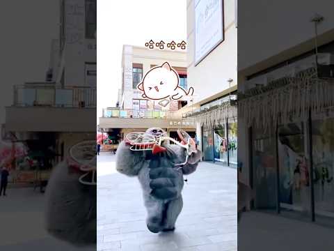 aline dance #shorts panda shorts #dance gorilla funny video funny shorts #funny comedy video