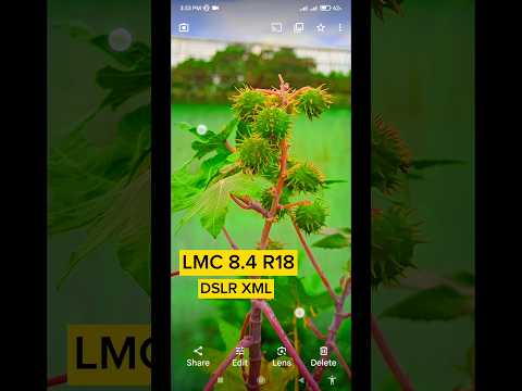 Lmc 8.4 Human Portrait Dslr Xml File 🥰🔥 Lmc 8.4 Config File Download | Mamun Tech Explan #lmc #gcam