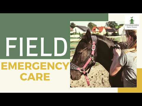 Equine Field Emergency Care