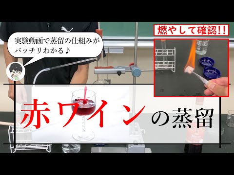 【実験動画】赤ワインの蒸留の原理をわかりやすく中学生向けに解説！