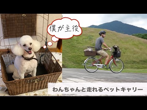 わんちゃんとサイクリング【ペットキャリーバスケット】