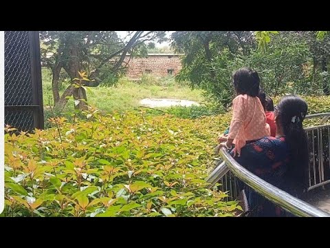 Bannerghatta Biological Park 🏞️🐅