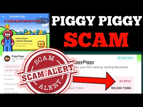 Tomarket Piggy piggy Airdrop Scam || Piggy piggy Airdrop listing | Piggy piggy Tomato stake Problem