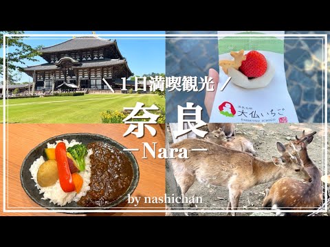 [vlog]奈良の人気観光地&グルメ旅🦌/東大寺/興福寺/橿原神宮⛩️