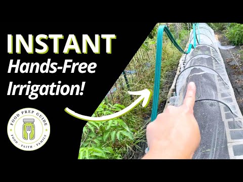 Instant, HANDS-FREE Irrigation WITHOUT Using Drip Emitters