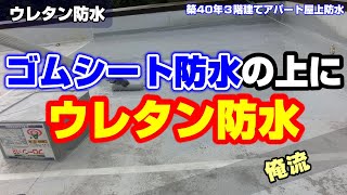 ゴムシート防水の上にウレタン防水 ～総集編～