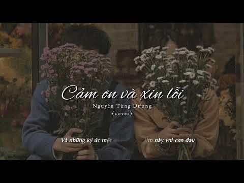 Lyrics | Cảm Ơn Và Xin Lỗi (Nguyễn Tùng Dương Cover) - Chillies | Lyrics Video