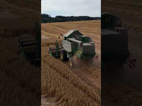 Combining black oats with John Deere W550 HillMaster | Luxembourg 2024