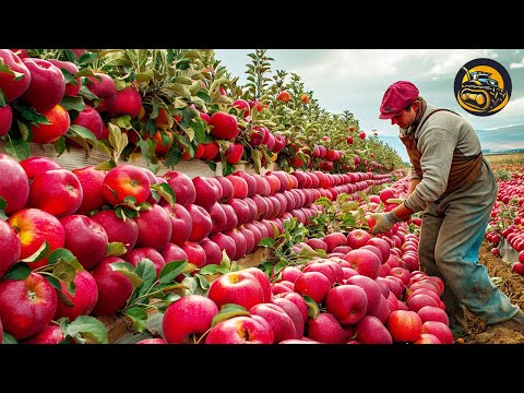 The Most Modern Agriculture Machines That Are At Another Level , How Apple Fall From Tree To You