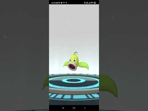 Evolving shiny bellsprout from community day!! | #pokemongocommunityday