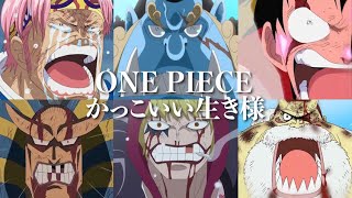 【アニメ名言集】ONE PIECE 心に響くかっこいい生き様〜DAYBREAK FRONTLINE〜