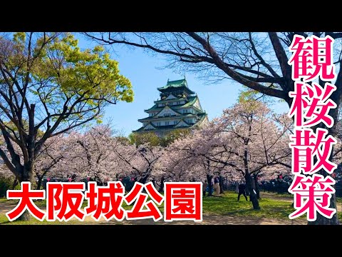 【大阪観光】天守閣からの眺めは最高！ 歴史深い大阪城公園で観桜散策♪