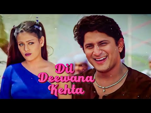 Dil Deewana Kehta Hai Pyar Kar | Udit Narayan | Hogi Pyaar Ki Jeet | Hindi Love Song