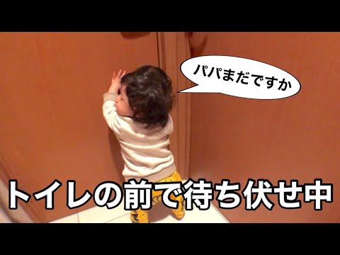 【後追い】大好きなパパを追っかけてトイレの前で待ち続ける赤ちゃん【生後8ヶ月】