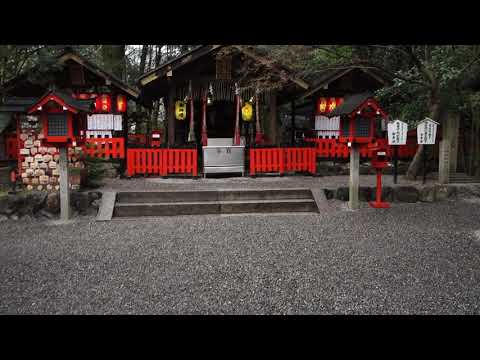 京都嵐山野宮神社