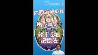 内頭蓋底の孔と通過する神経・血管 効率良い記憶法（スマホ版）