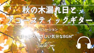 Natural Sonic「秋の木漏れ日とアコースティックギター 」コンピレーション - ほっこりやさしい気分なBGM -