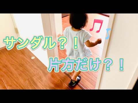 〜ゆずことの日常〜　家の中でサンダル？！どこで見つけてきたんだ？W