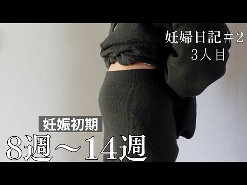 [妊娠日記vol.2] 初期期間まとめ！検診行く前の呟き｜２週間ごとって長いよね[3人目妊婦][エコー写真][腹部公開]