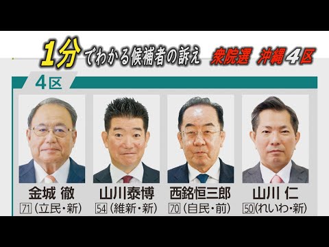 1分でわかる！候補者の訴え　沖縄4区　衆院選2024