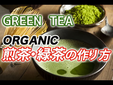 玉露・煎茶の製造工程｜How to make Japanese organic "Sencha"(Green tea) 【English subtitle】｜茶匠六兵衛