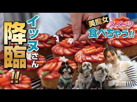 【イッヌ】さん【美魔女】パティシエが作るスイーツ食べちゃう！